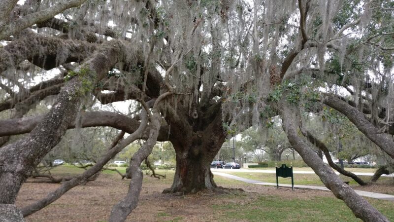 Loch Haven Park - Orlando, FL