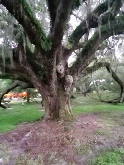 Loch Haven Park - Orlando, FL