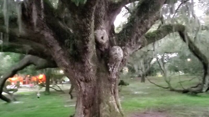 Loch Haven Park - Orlando, FL