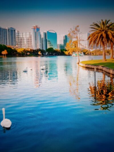 Orlando - Orlando, FL