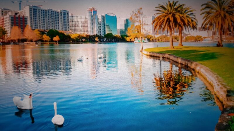 Orlando - Orlando, FL