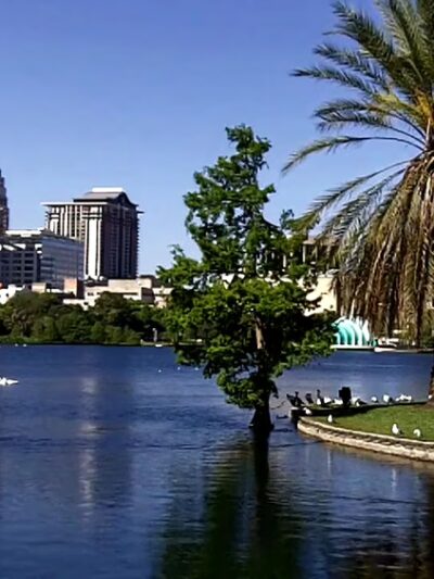 Orlando - Orlando, FL