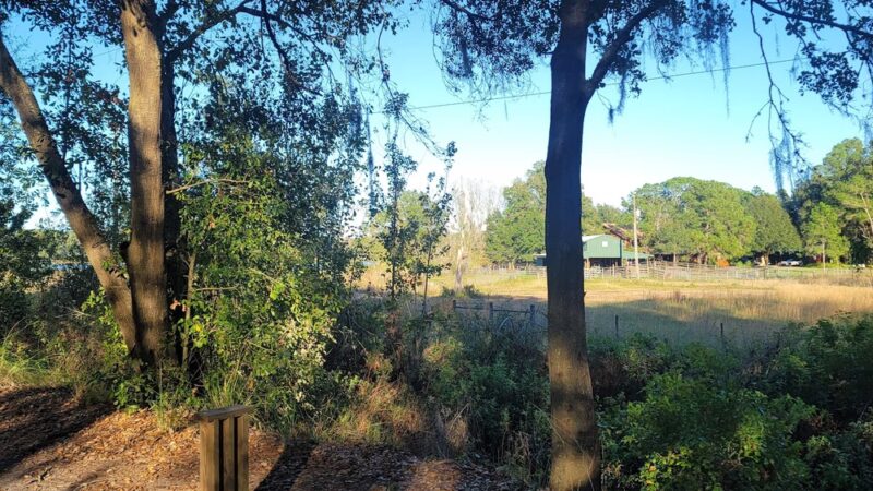 Padgett Park - Orlando, FL