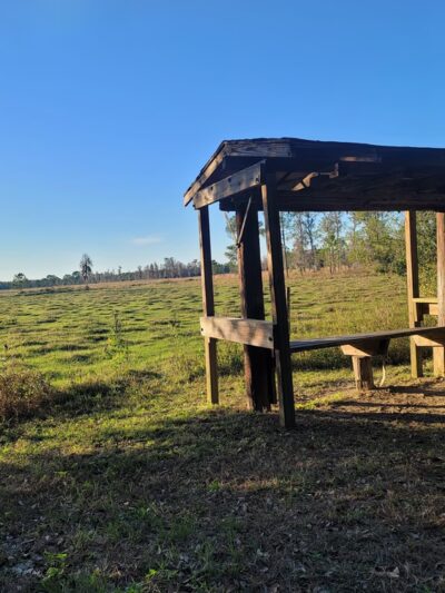 Padgett Park - Orlando, FL