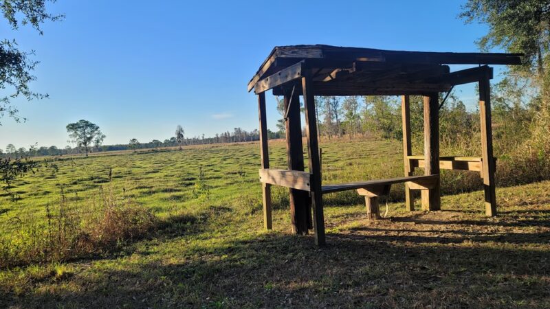 Padgett Park - Orlando, FL