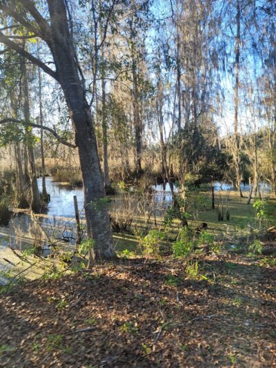 Padgett Park - Orlando, FL