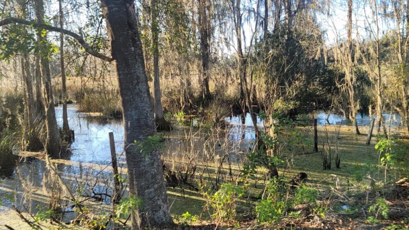 Padgett Park - Orlando, FL