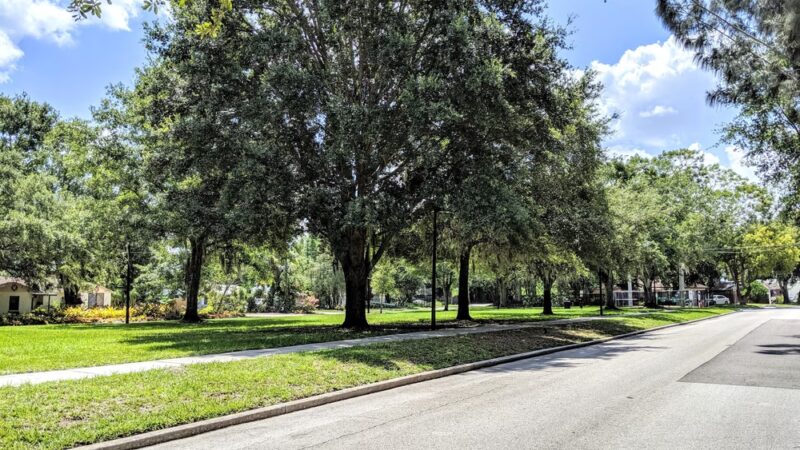 Padgett Park - Orlando, FL