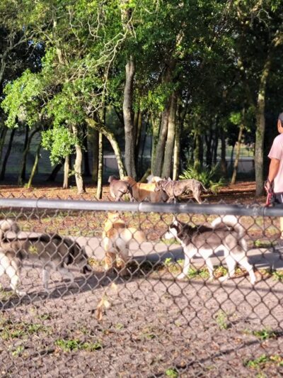 Park of the Americas - Orlando, FL
