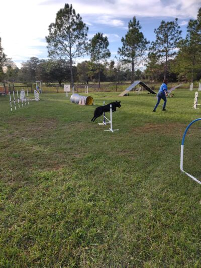 Practice Makes Pawfect - Orlando, FL
