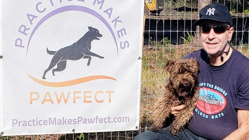 Practice Makes Pawfect - Orlando, FL