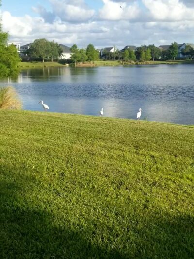 Ribbon Park - Orlando, FL