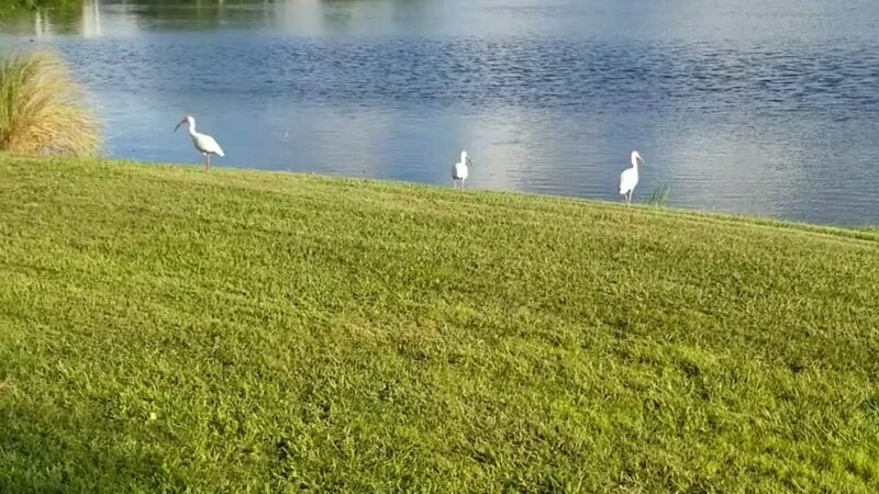 Ribbon Park - Orlando, FL