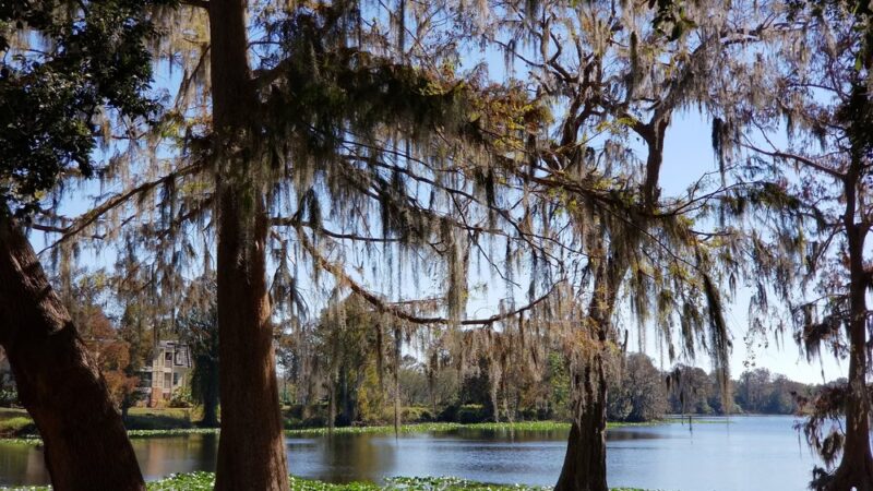 Rosemont Park - Orlando, FL