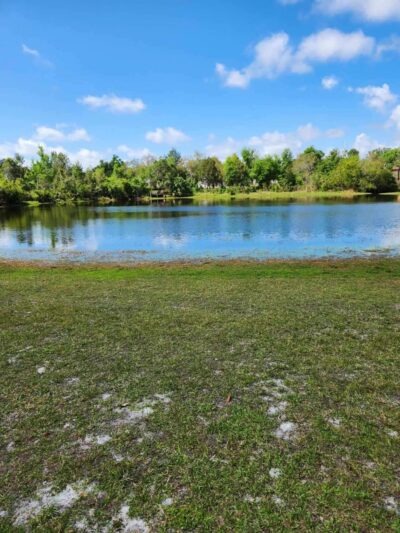 Shadow Bay Park Pavilion - Orlando, FL