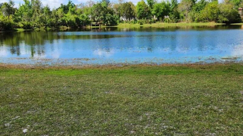 Shadow Bay Park Pavilion - Orlando, FL