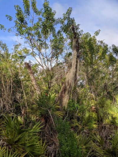 Shadow Bay Park Pavilion - Orlando, FL