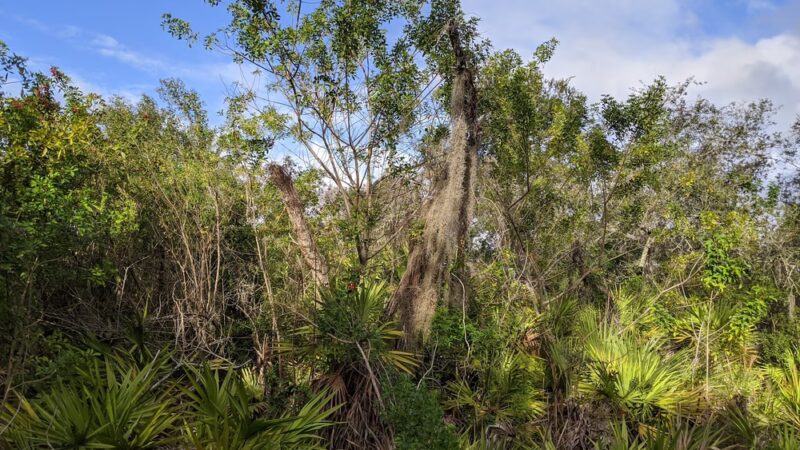 Shadow Bay Park Pavilion - Orlando, FL