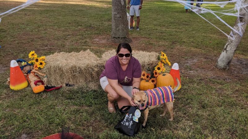 Wadeview Park - Orlando, FL