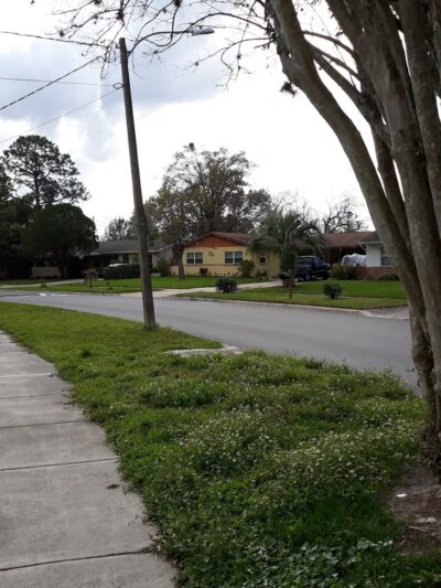 Willie Mays Park - Orlando, FL