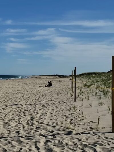 National Seashore - Orleans, MA
