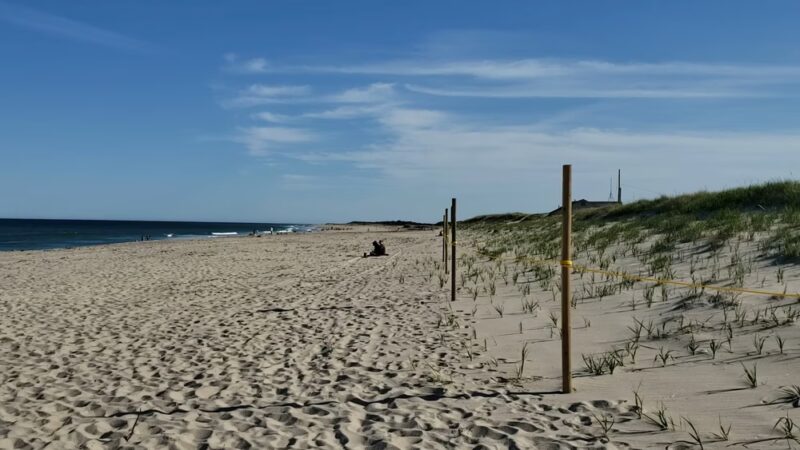 National Seashore - Orleans, MA