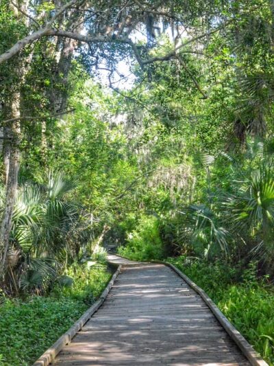 Central Park - Ormond Beach, FL