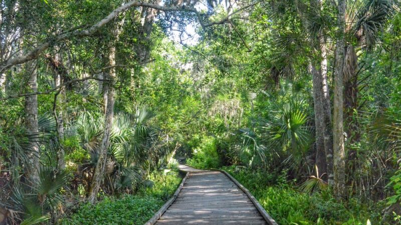 Central Park - Ormond Beach, FL