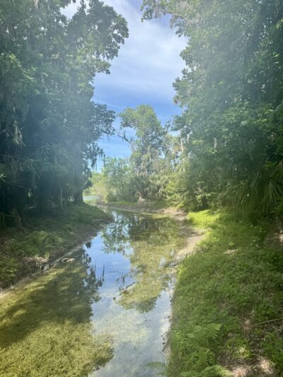 Central Park Phase II - Ormond Beach, FL