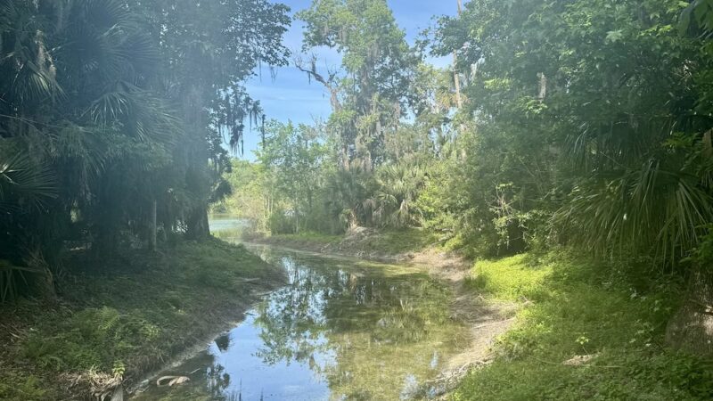 Central Park Phase II - Ormond Beach, FL