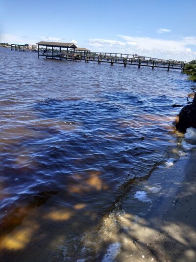 Melrose Park - Ormond Beach, FL