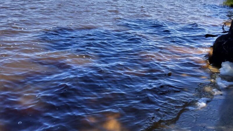 Melrose Park - Ormond Beach, FL