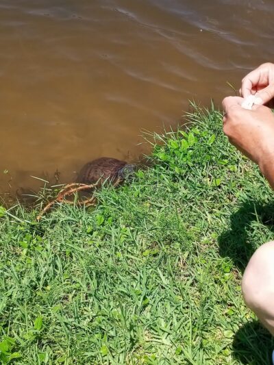 Ormond Shores Park - Ormond Beach, FL