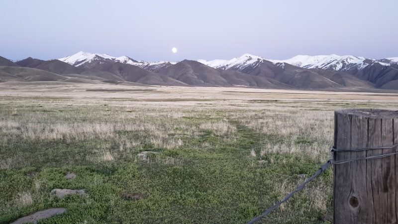 Orovada Rest Area - Orovada, NV