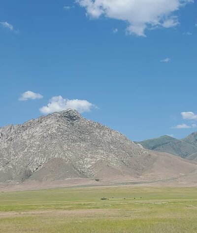 Orovada Rest Area - Orovada, NV