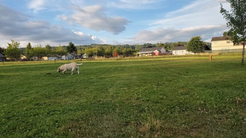 Orting Dog Park - Orting, WA