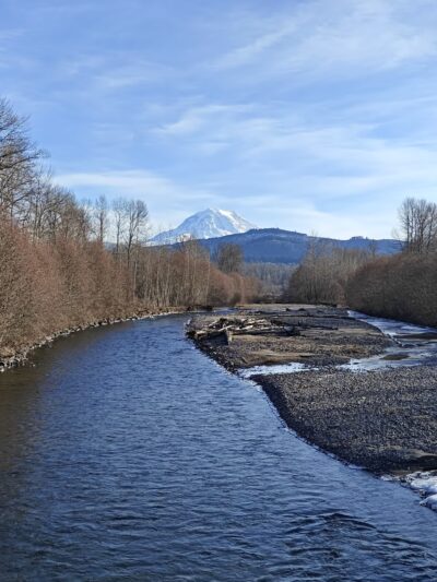 Orting Dog Park - Orting, WA