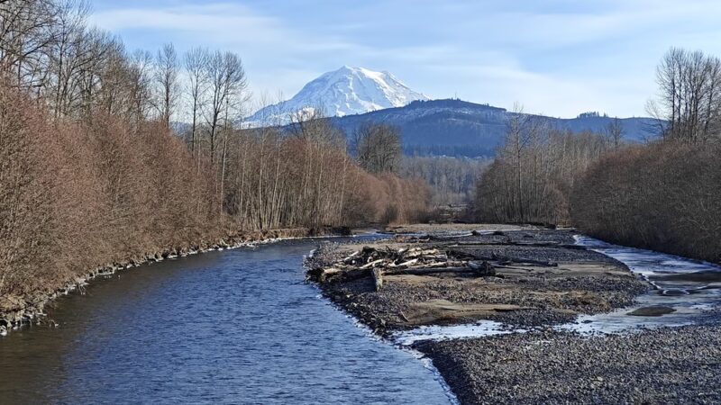 Orting Dog Park - Orting, WA