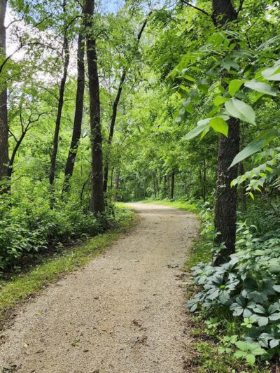 Harry Cook Nature Trail - Osage, IA