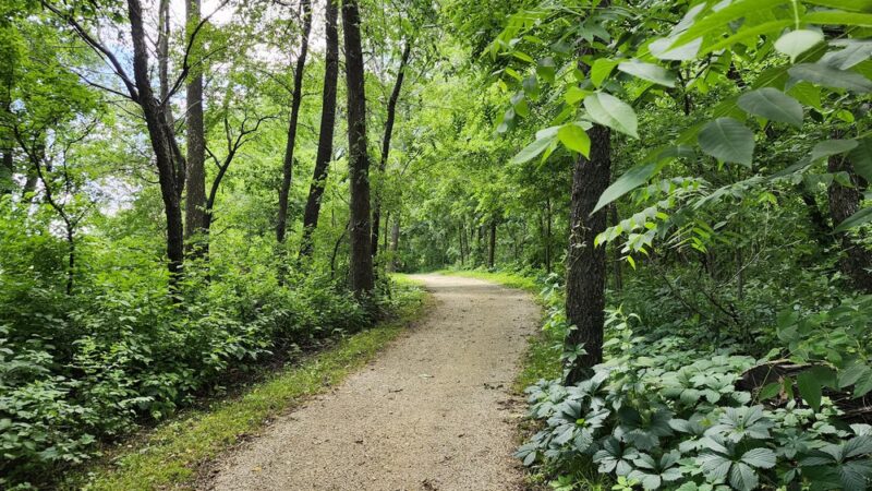 Harry Cook Nature Trail - Osage, IA