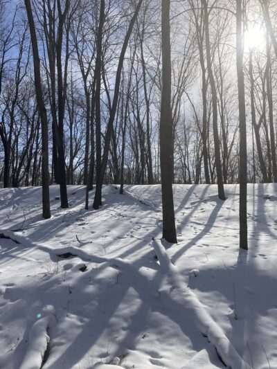 Harry Cook Nature Trail - Osage, IA