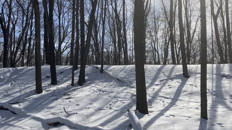Harry Cook Nature Trail - Osage, IA