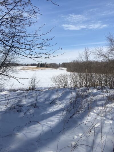 Harry Cook Nature Trail - Osage, IA