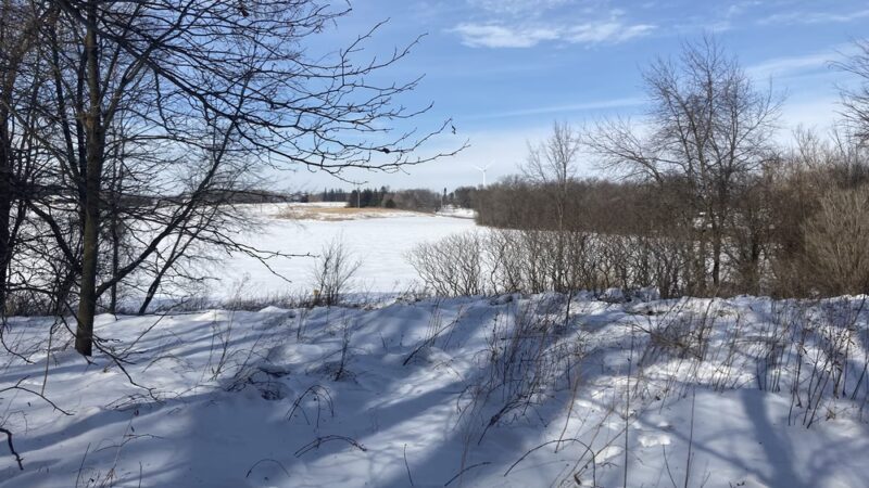 Harry Cook Nature Trail - Osage, IA