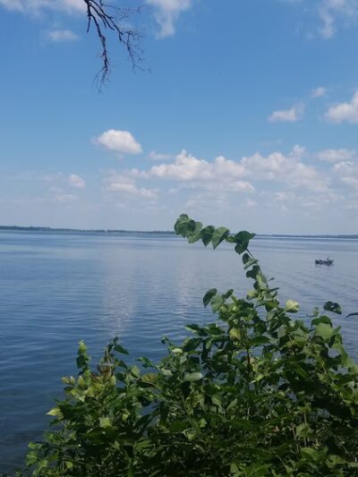 Osagi Park - Osakis, MN