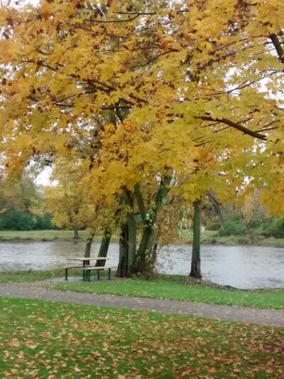 Violet Patch Park - Oswego, IL