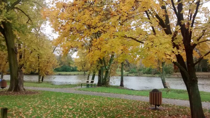 Violet Patch Park - Oswego, IL