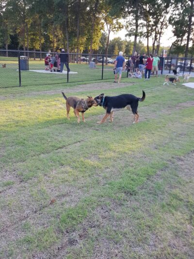 McCarty Park - Owasso, OK