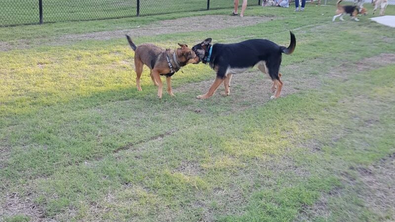 McCarty Park - Owasso, OK