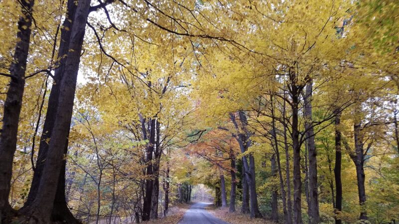 Ben Hawes Park - Owensboro, KY
